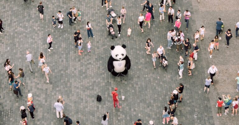 crowd of people